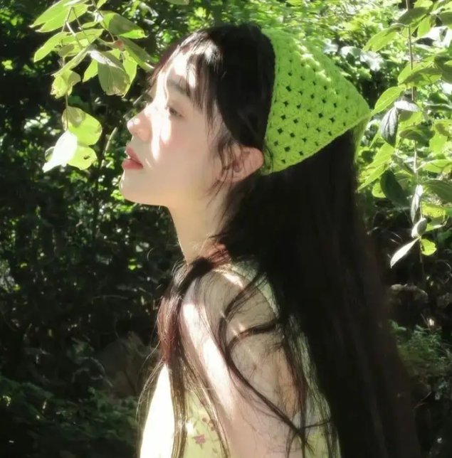 盗影谜情