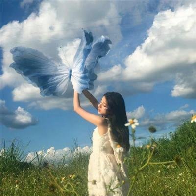 无敌飞金刚